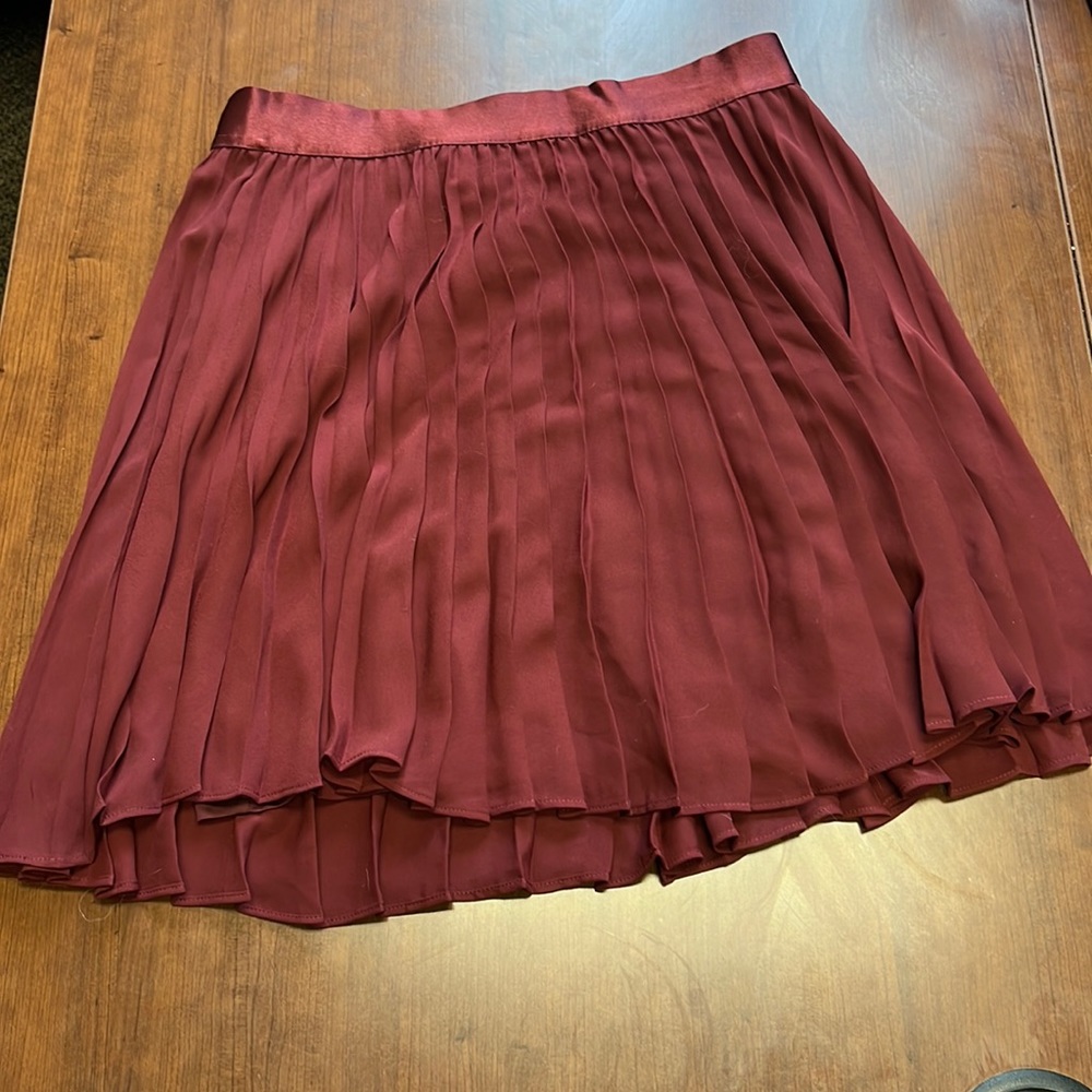 NWT Express Skirt
